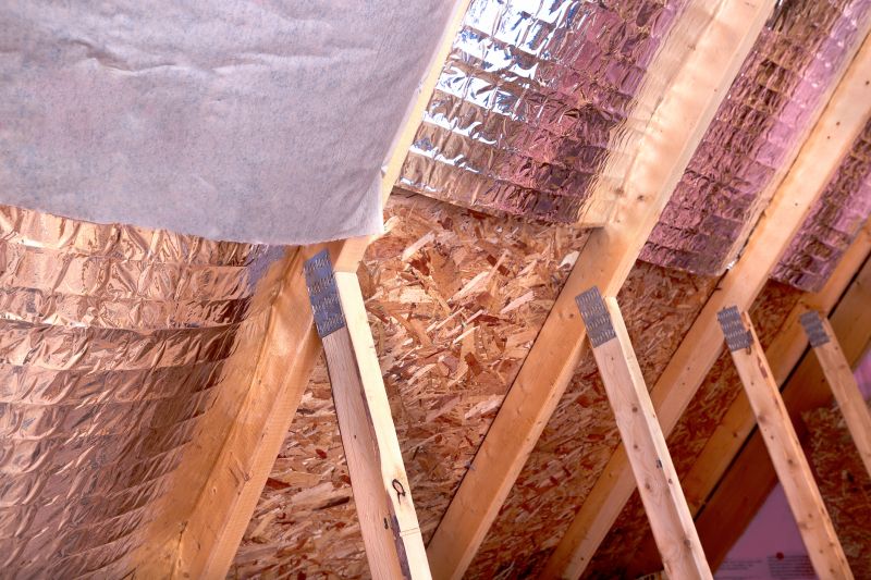 Roof Insulation Service in Bastrop, TX